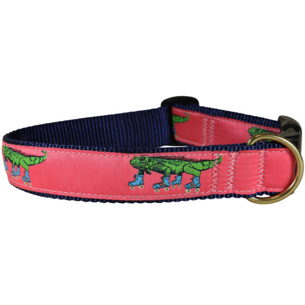 Iguana on Roller Skates Dog Collars & Leads