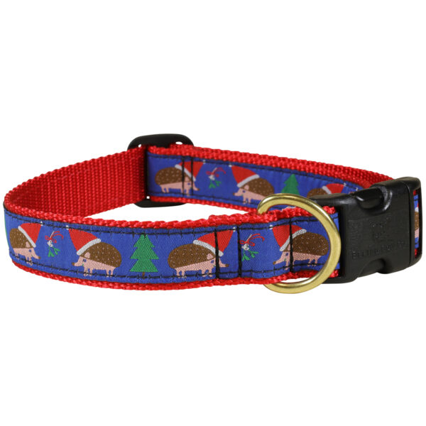 HedgeHog Dog Collars & Leads