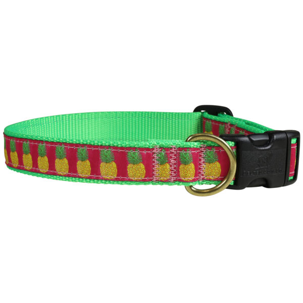 Pineapple Dog Collars & Leads