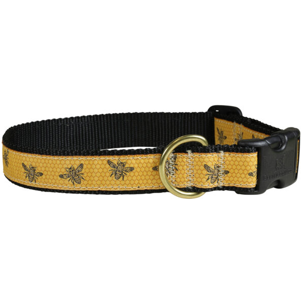 Honey Bees Dog Collars & Leads