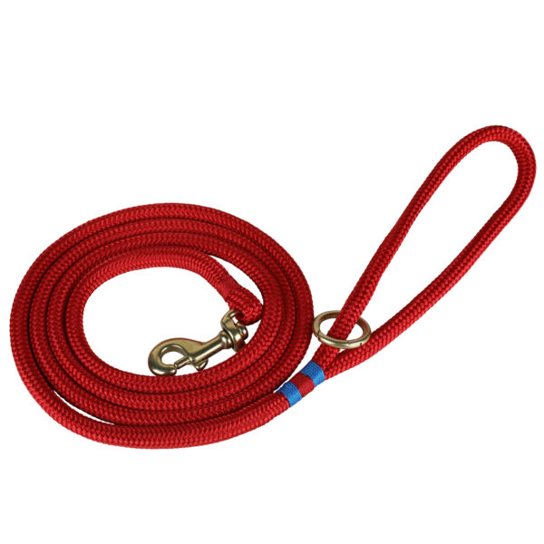 Maine Dock Line Dog Lead in Red with Light Blue Trim