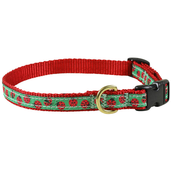 Lady Bug Dog Collars & Leads