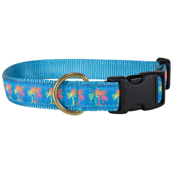 Neon Palms Dog Collars & Leads