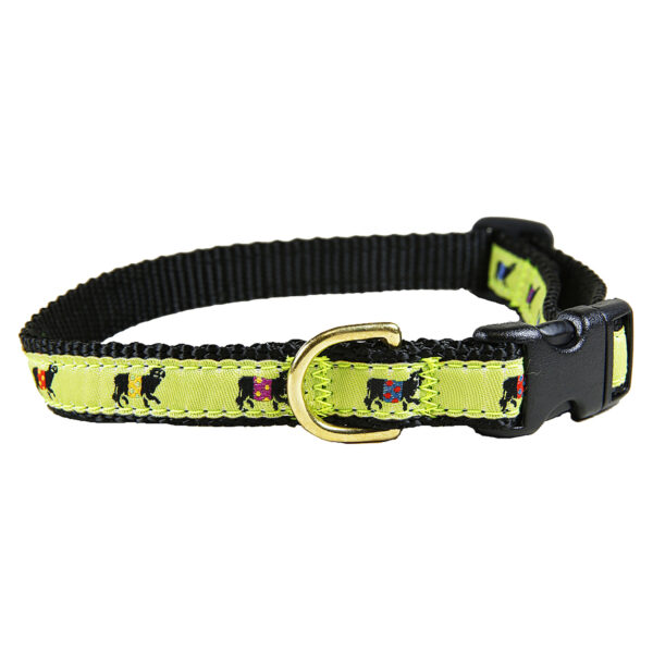 Beltie Dog | Lime | 5/8 Inch