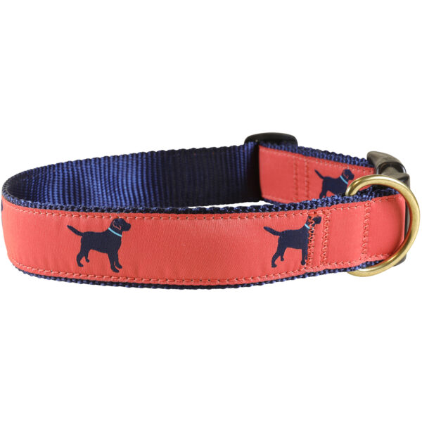 Lab Dog Collars & Leads | Nantucket