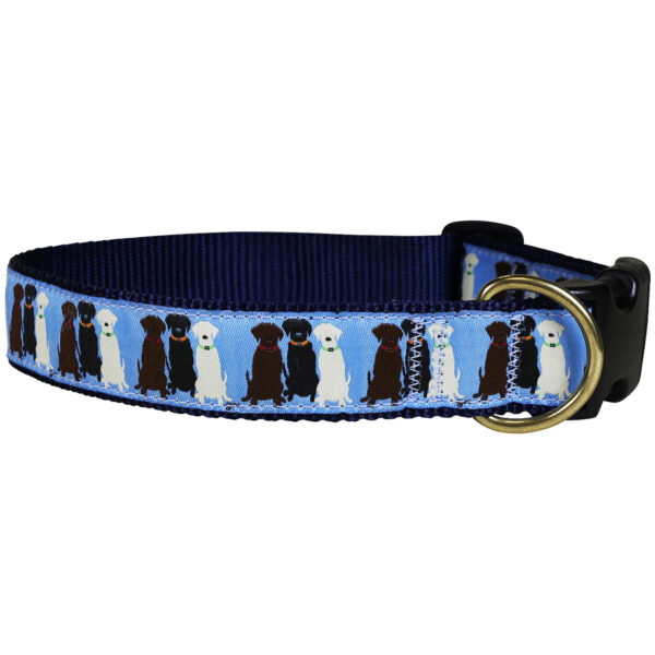 Three Labs Dog Collars & Leads | Light Blue