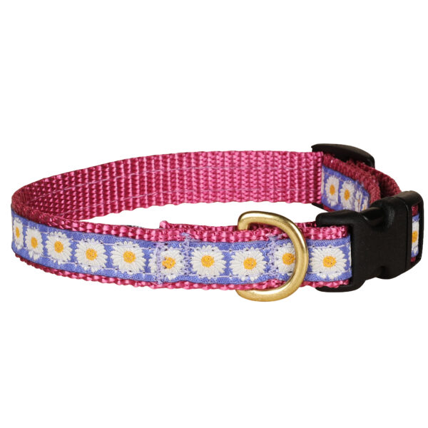 Daisies Dog Collars & Leads