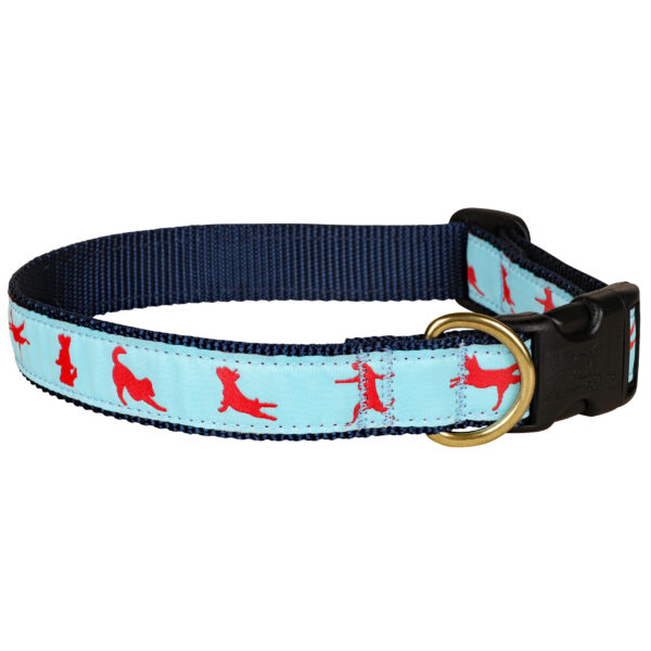 Yoga Dog Dog Collars & Leads