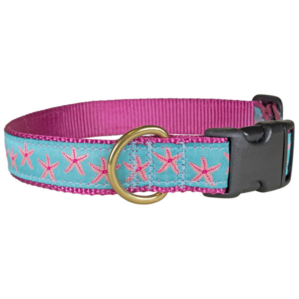 Starfish Dog Collars & Leads | Aqua