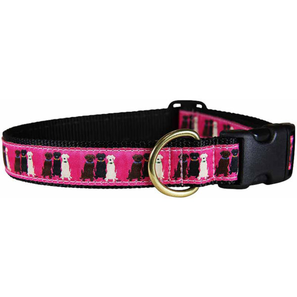 Three Labs Dog Collars & Leads | Pink