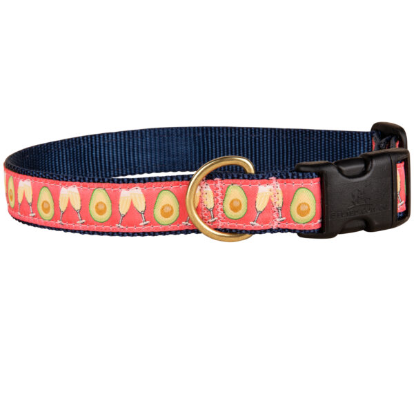 Avocado Toast  Dog Collars & Leads