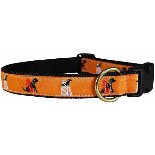 Guard Dog Design Collars & Leads