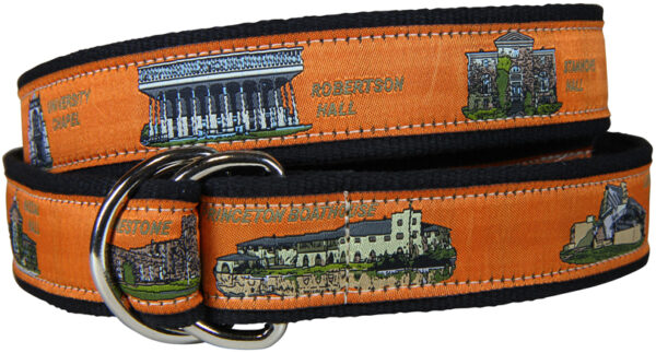 View from the Green D-Ring Belt | Princeton | Made to Order